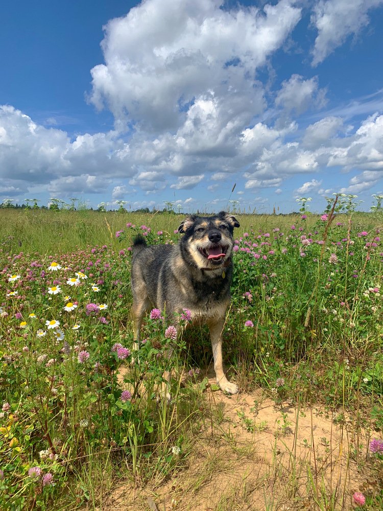 Photograph by Елена Смирнова