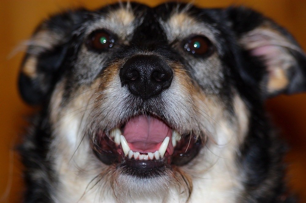 Photograph by Елена Смирнова