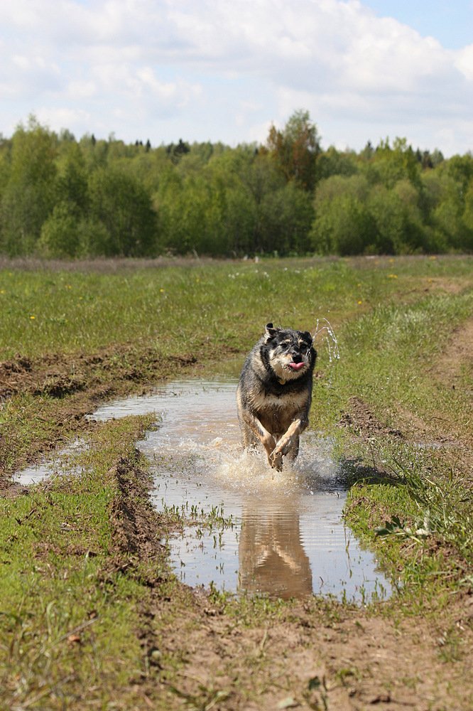 Photograph by Елена Смирнова