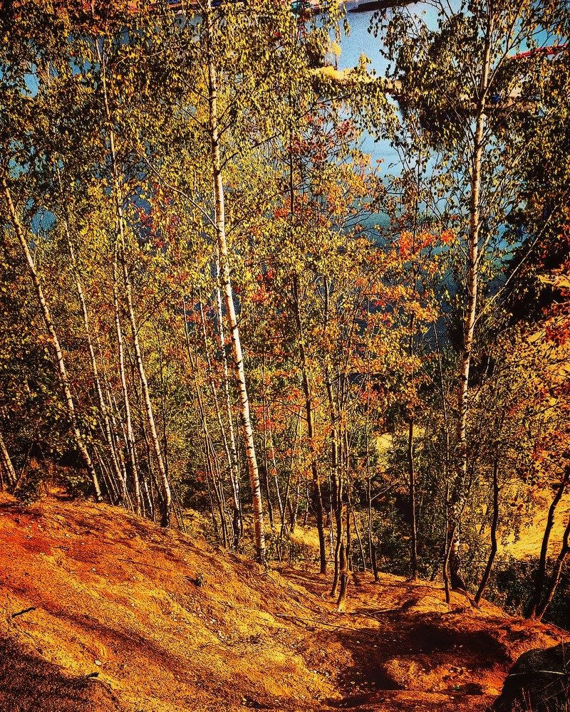 Photograph by Александр Лабутин