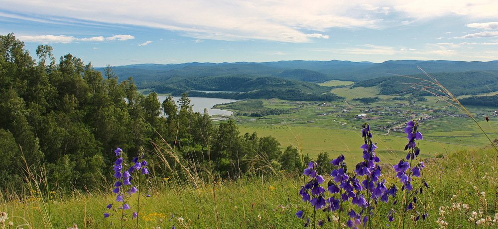 Сибирское лето.
