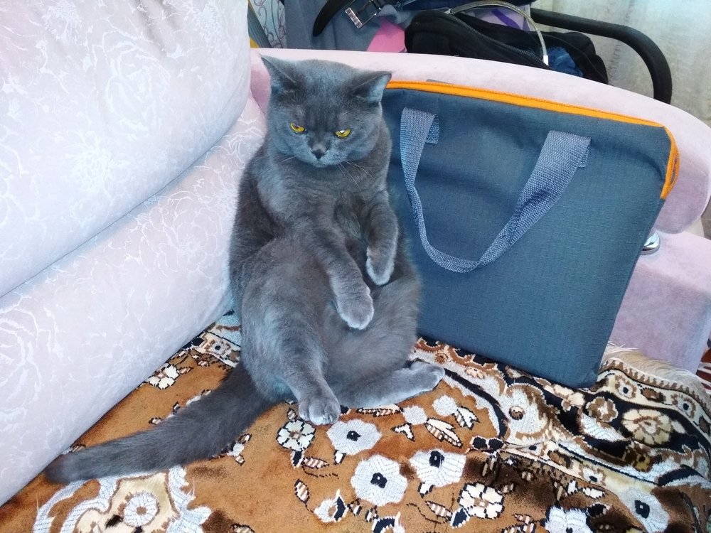 Photograph by ПЕТР ПУСТЫЛЬНИК