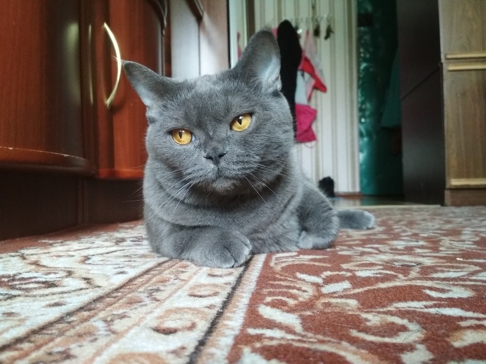 Photograph by ПЕТР ПУСТЫЛЬНИК