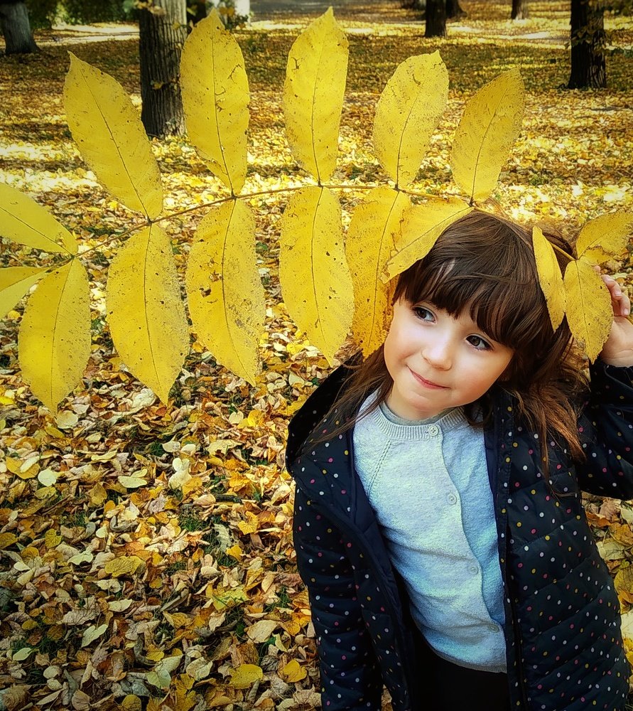 Photograph by Людмила М