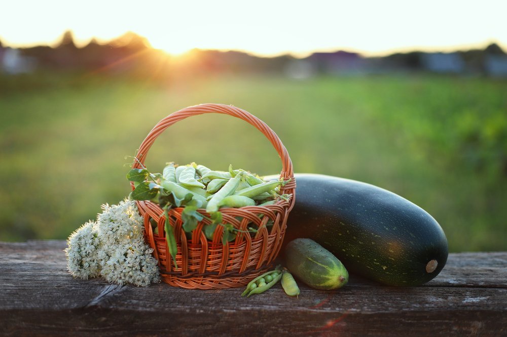 Photograph by Олеся Кучерова