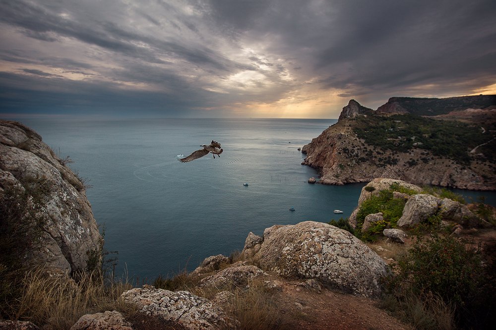 Photograph by Саркисян Вероника