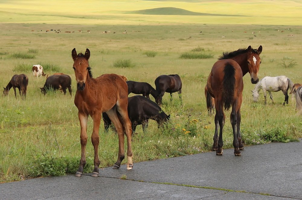 Photograph by Наталья Юрова