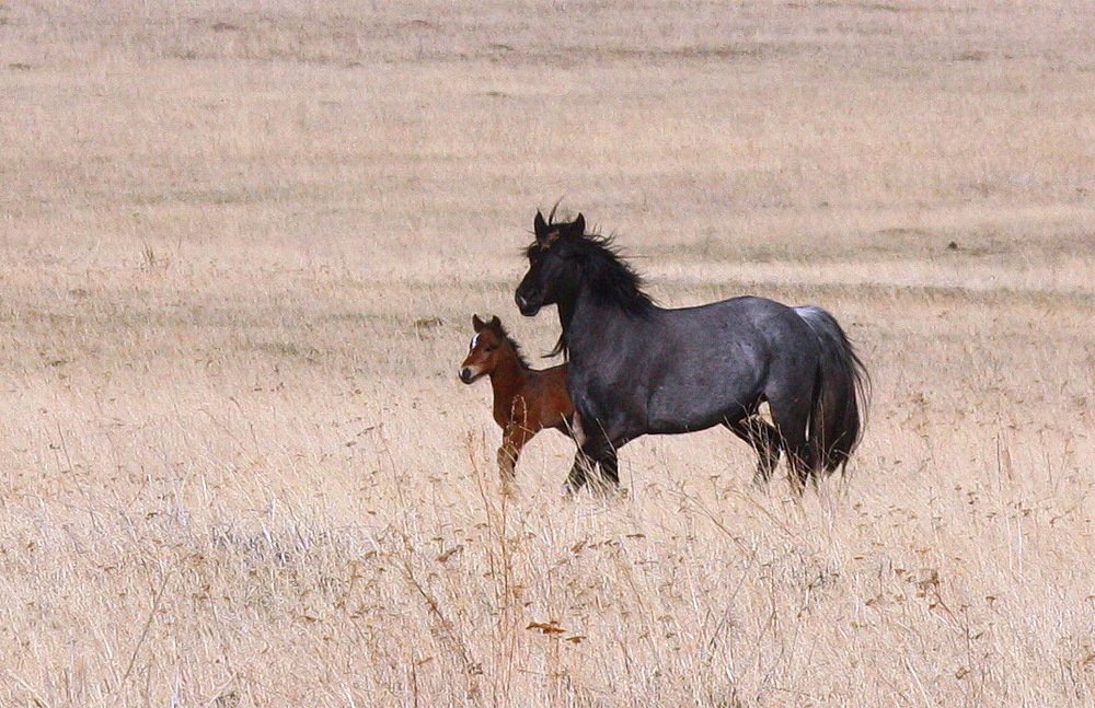 Photograph by Наталья Юрова
