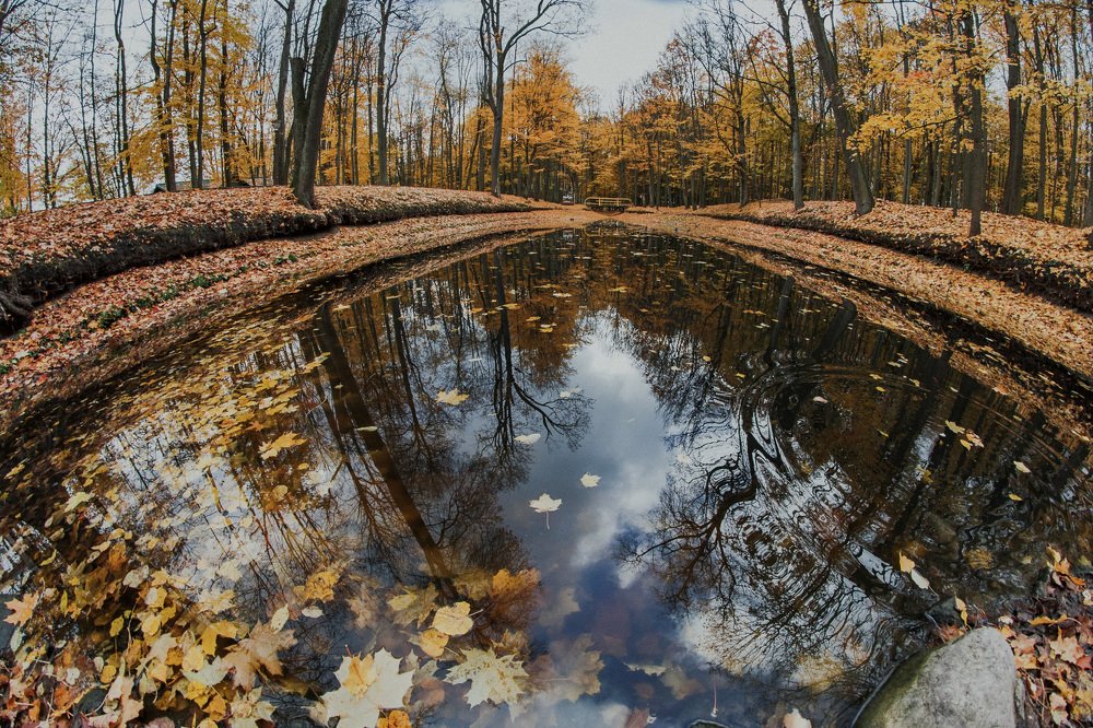Photograph by Шидловская-Вашкевич Татьяна