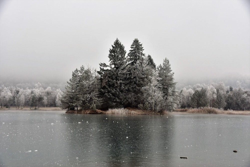 Photograph by zause01