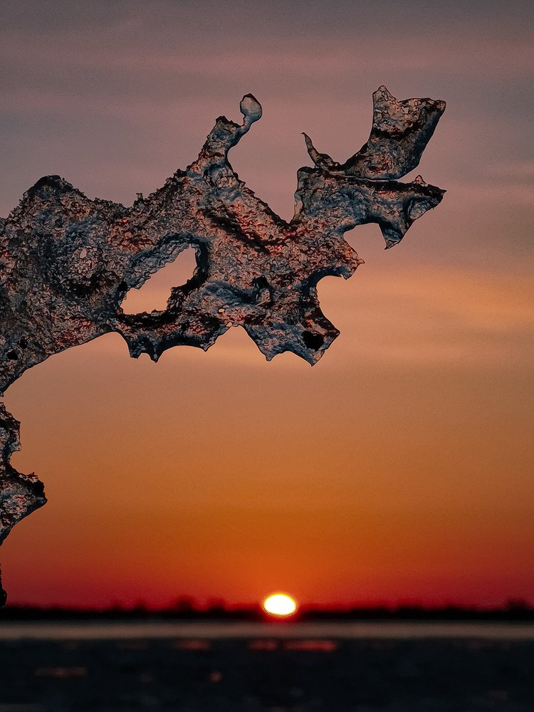 Photograph by Марина Суслова