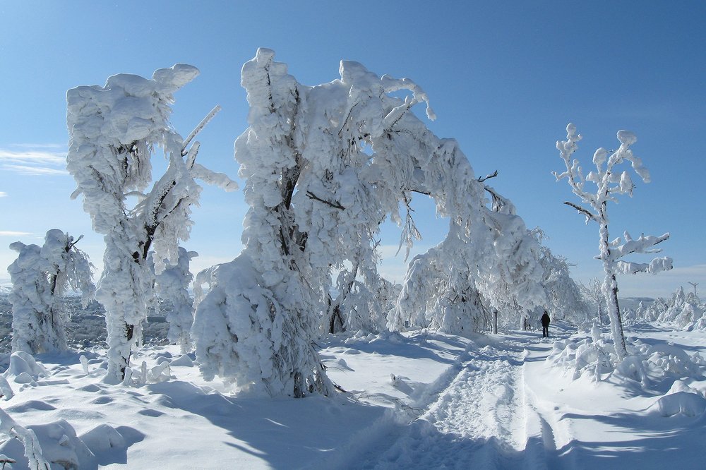 Photograph by Прялкин Сергей