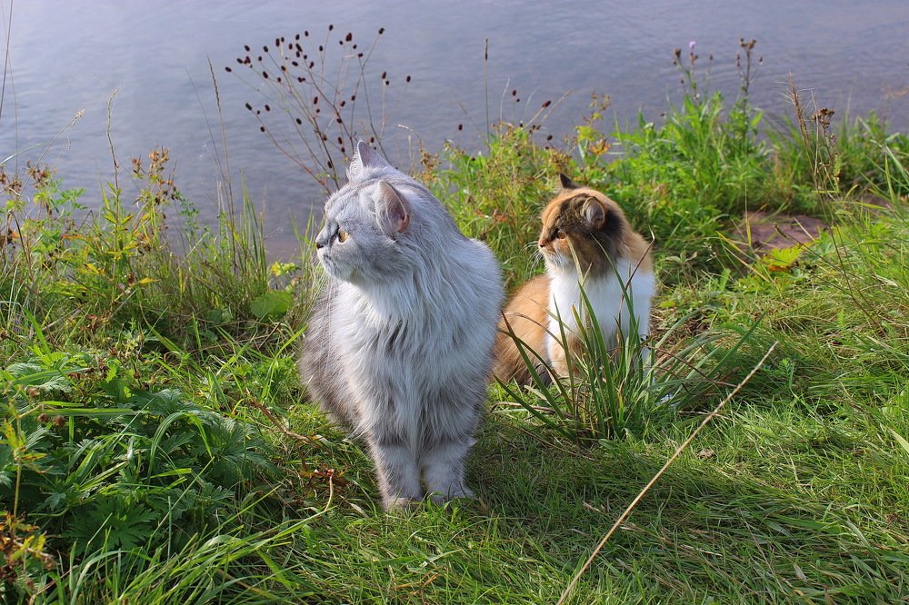 Photograph by Наталья Юрова