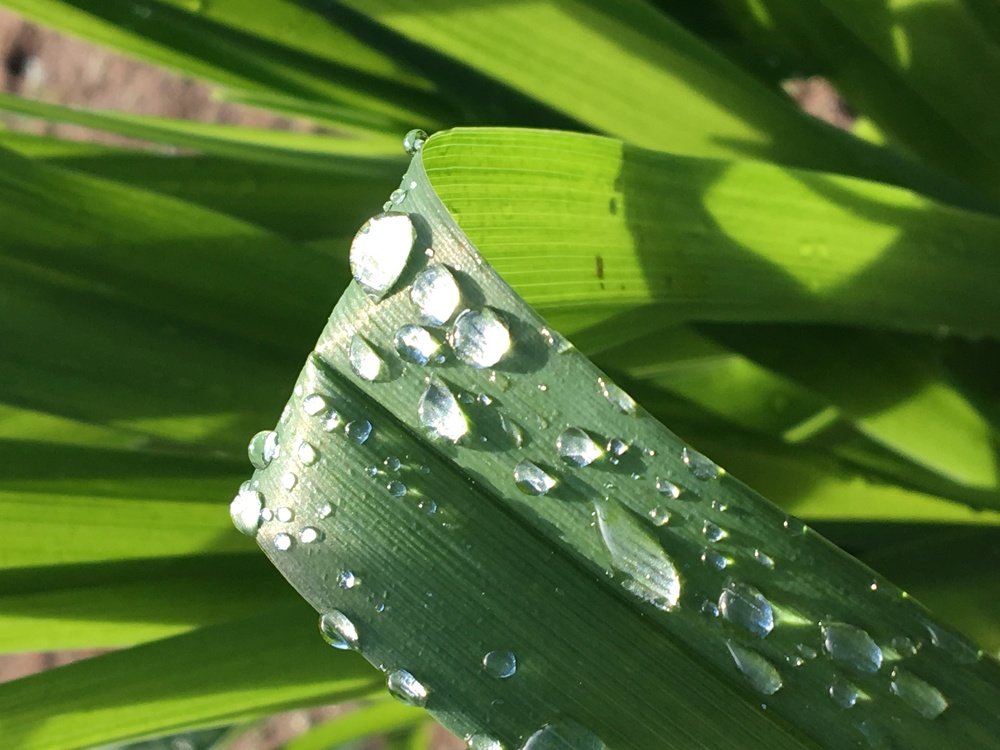 Photograph by Алина Смирнова