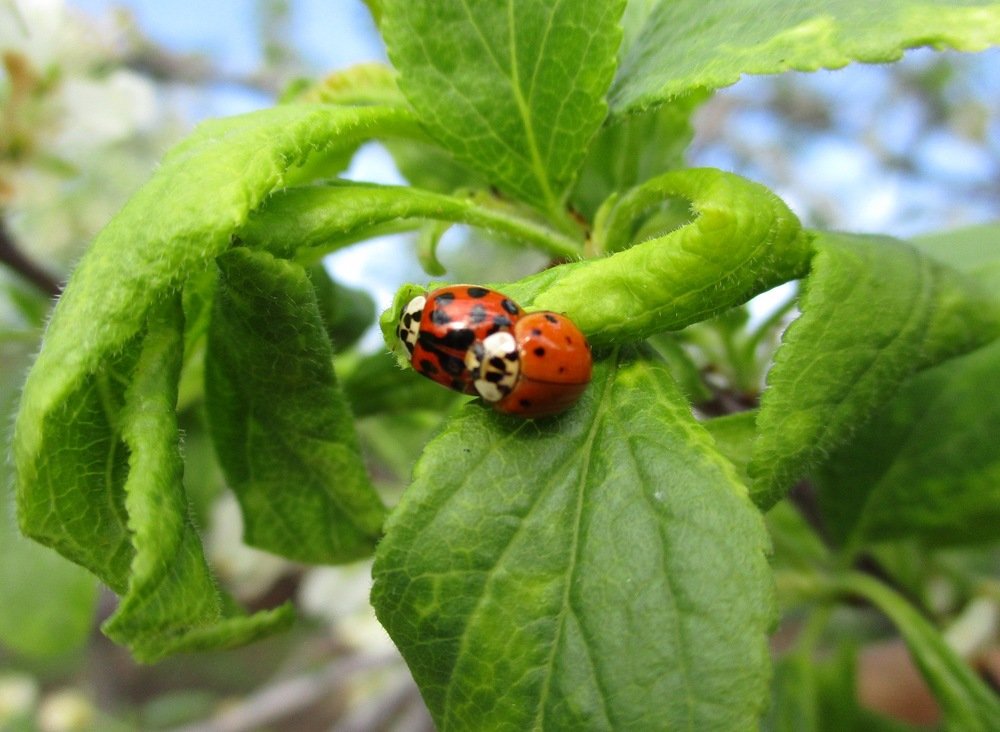Photograph by Татьяна Иваненкова