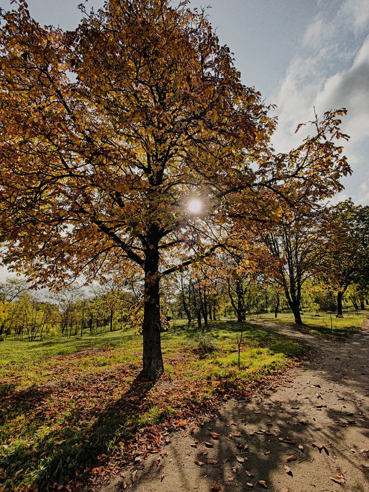 Photograph by Дарья Прусс