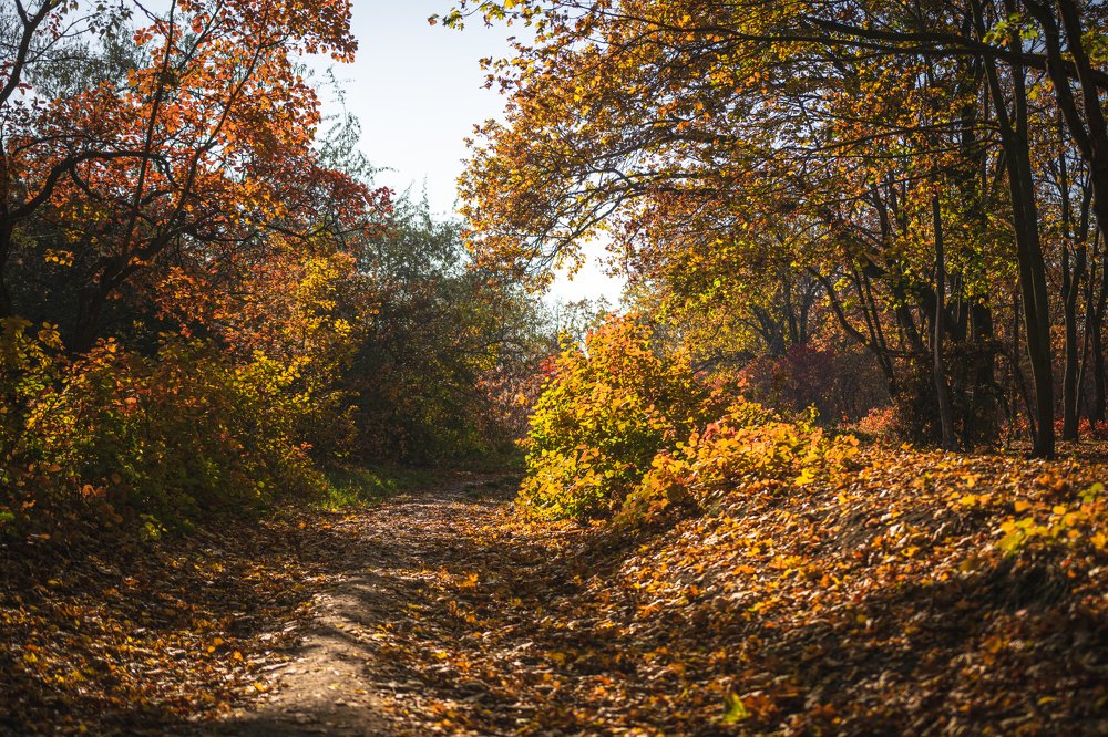 Photograph by Дарья Прусс