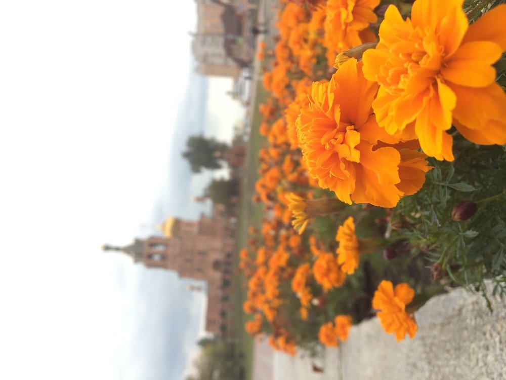 Photograph by Алина Смирнова