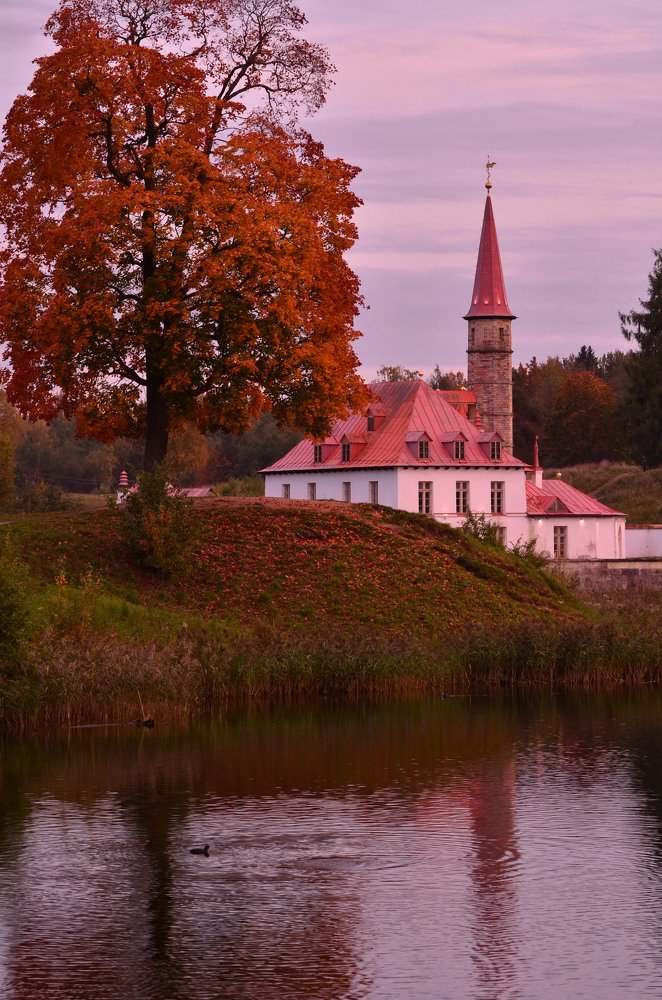 осень в Гатчине