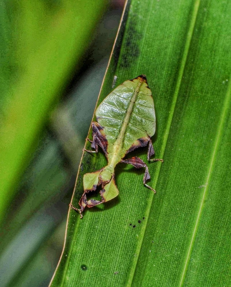 Photograph by Kiran Srinivasa