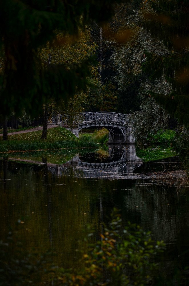 в глубине парка