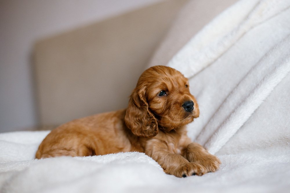 Photograph by Artem Mironov