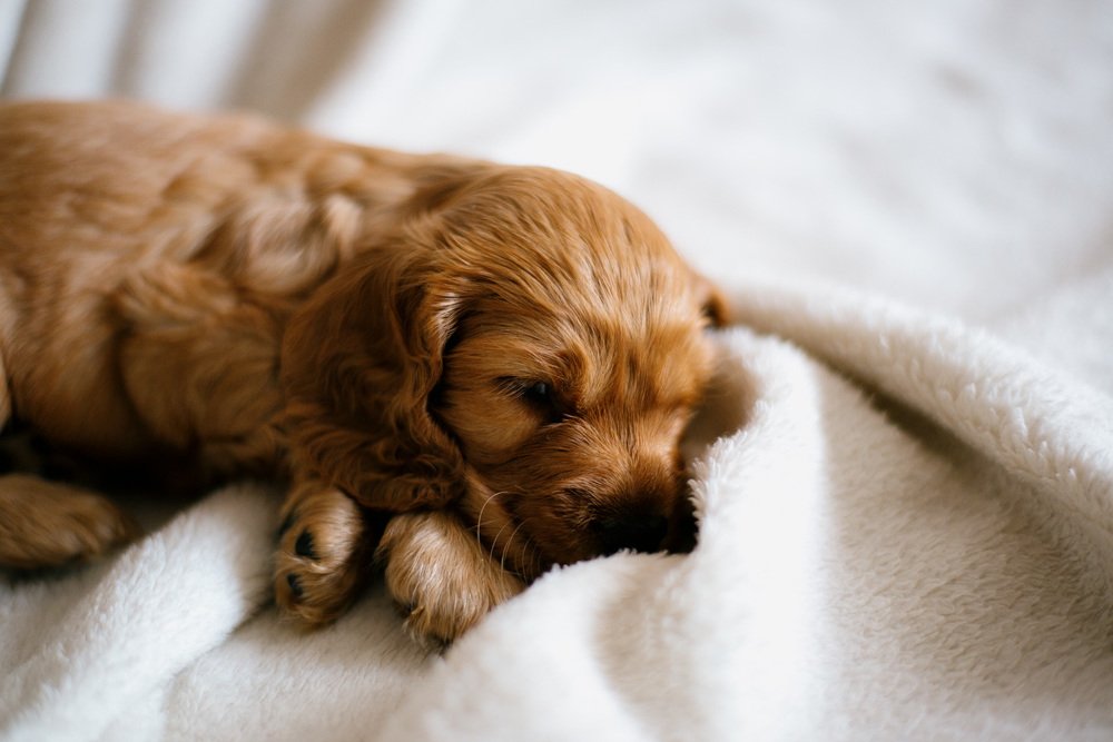 Photograph by Artem Mironov