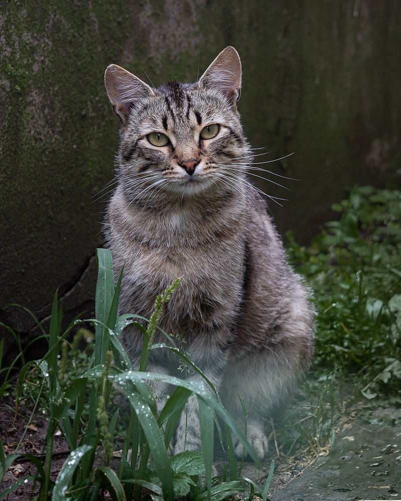 Photograph by Artem Mironov