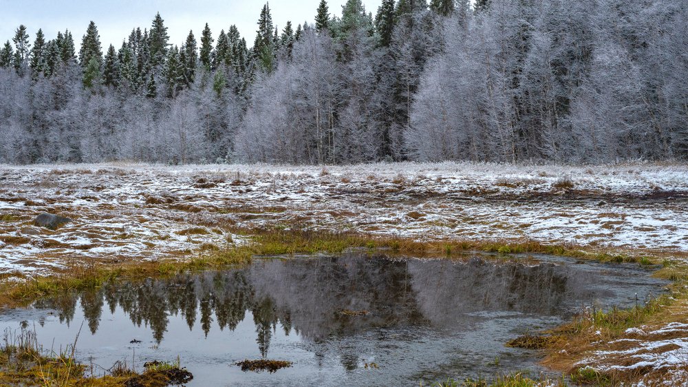 Photograph by Оксана Кузнецова