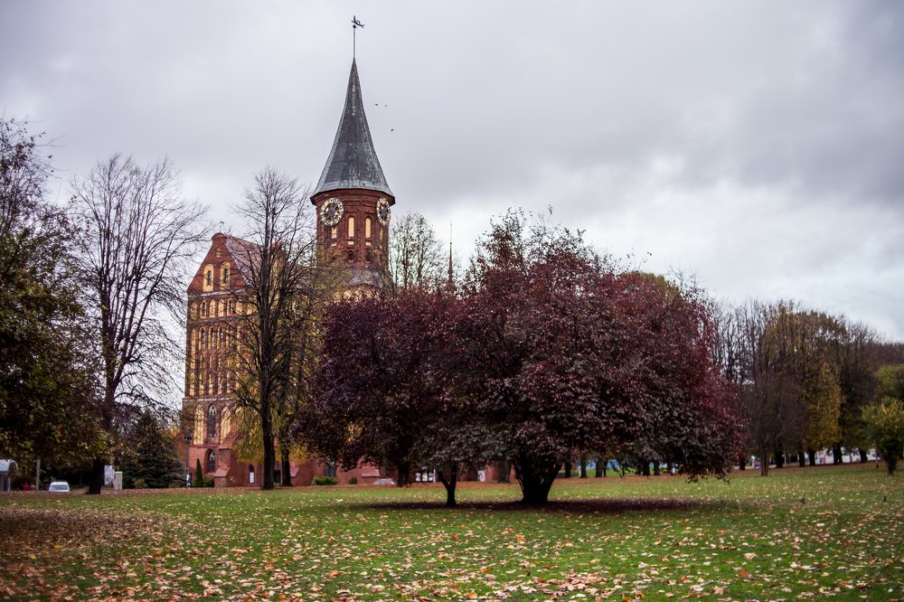 Photograph by Алёна Останкова