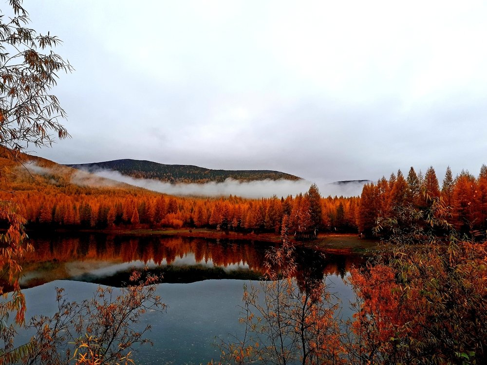 Photograph by Елена Беломестнова