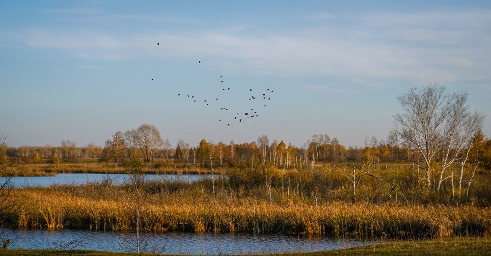 Photograph by Slesareva Nina