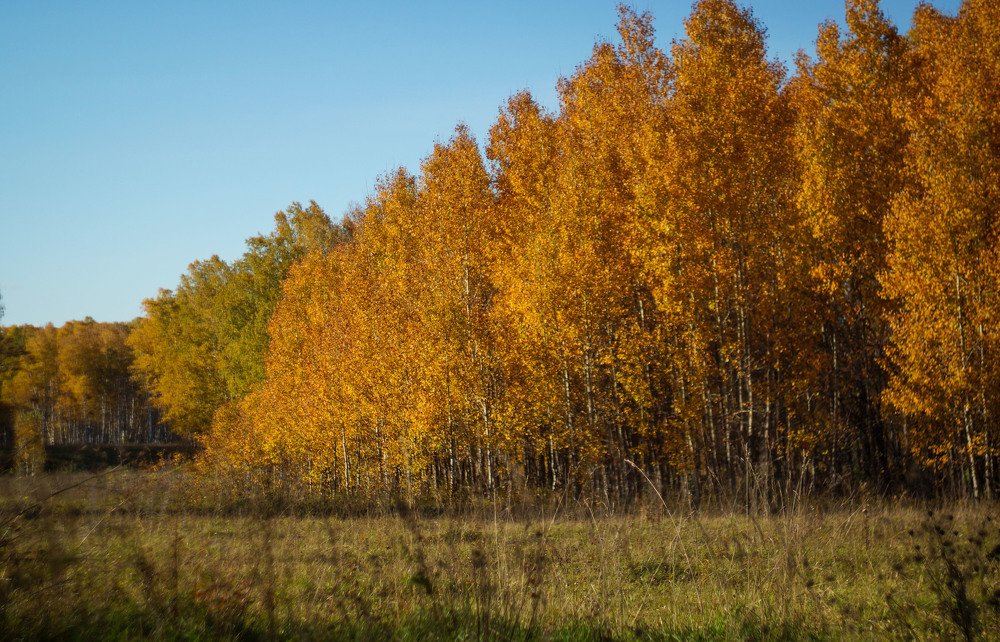 Photograph by Slesareva Nina