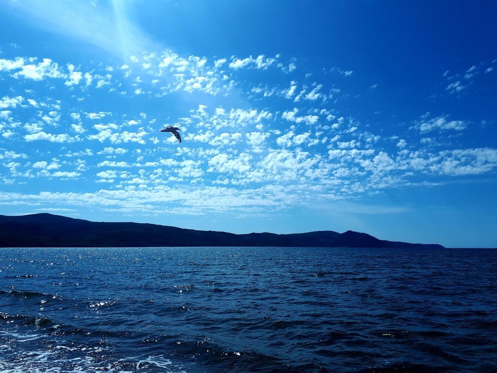 Photograph by Елена Беломестнова
