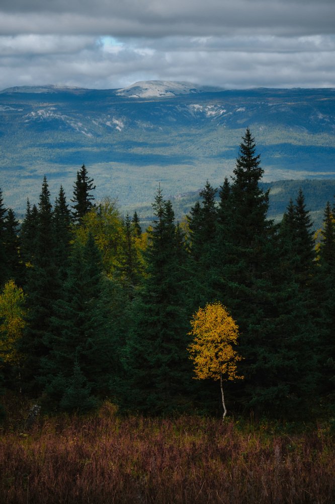 Photograph by Евгений Пташко