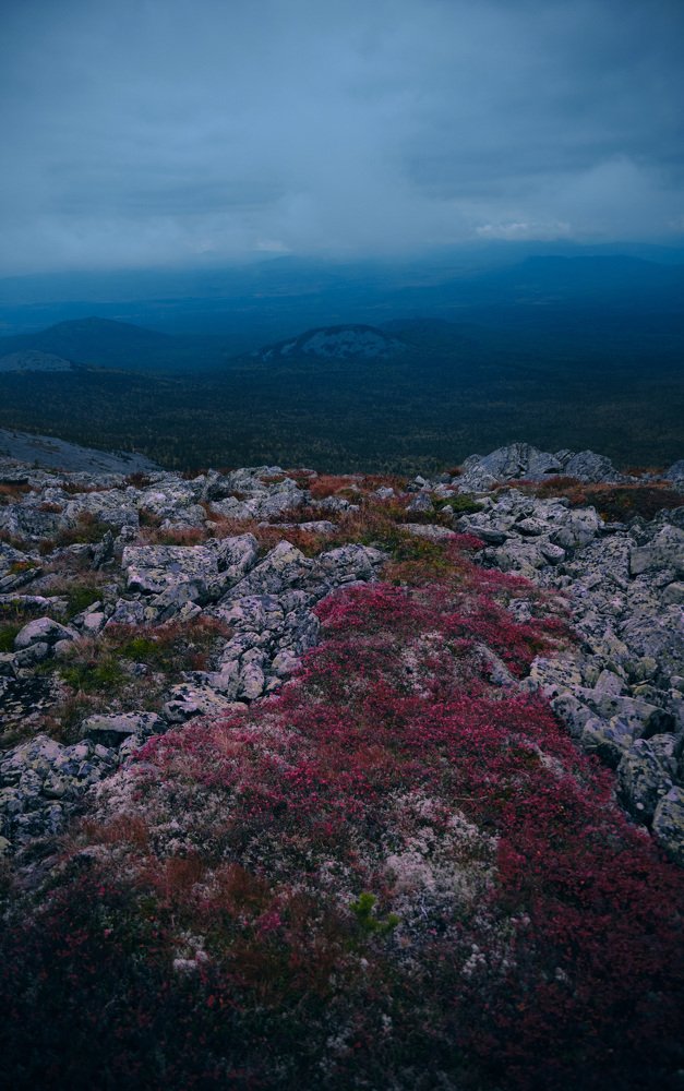 Photograph by Евгений Пташко