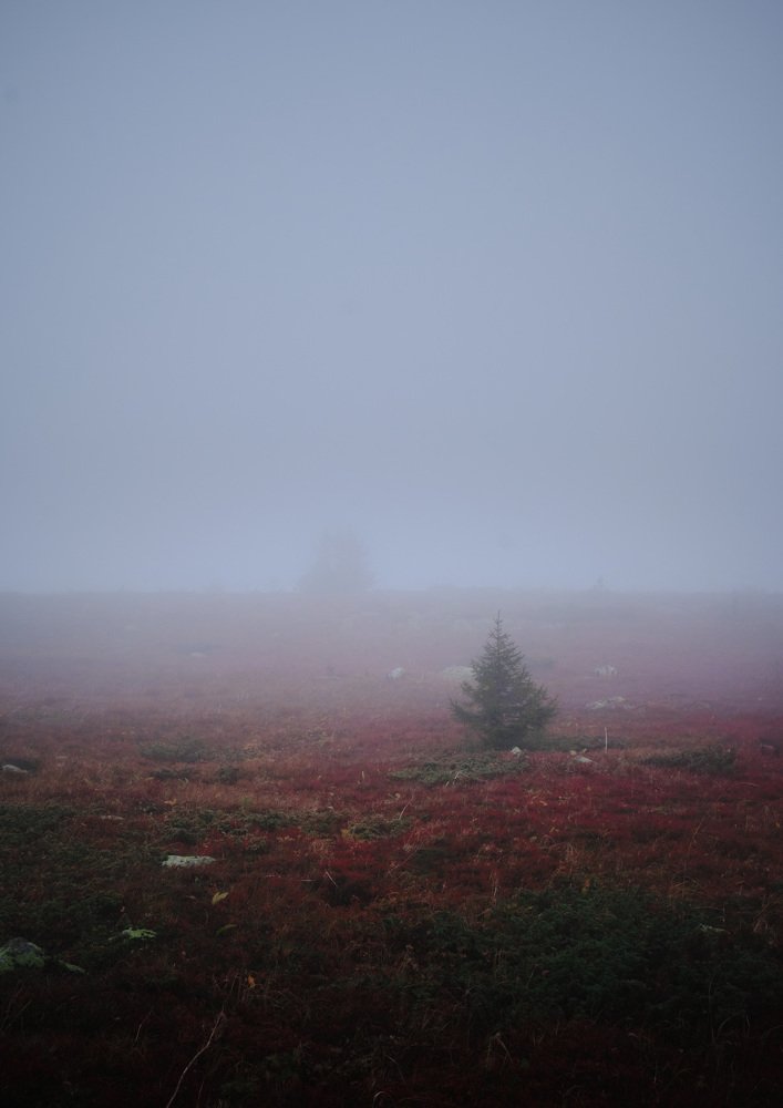 Photograph by Евгений Пташко