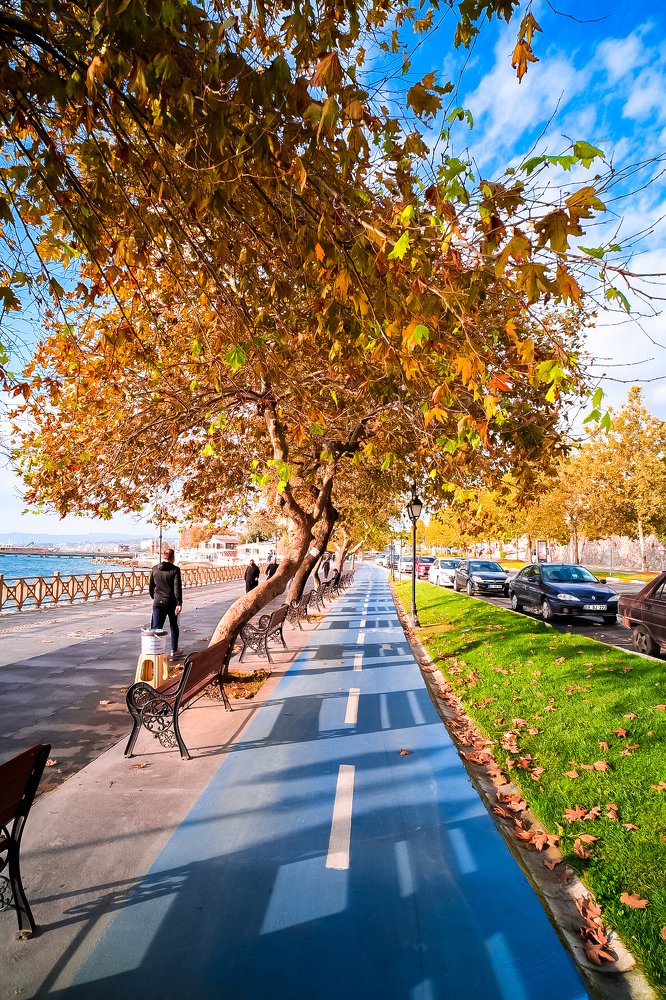 Photograph by Efraim DONMEZ