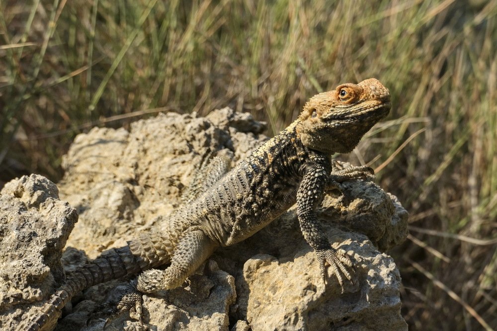 Photograph by Константин Лагоденко