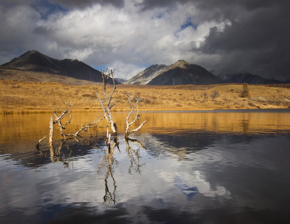 Photograph by Алексей Трофимов