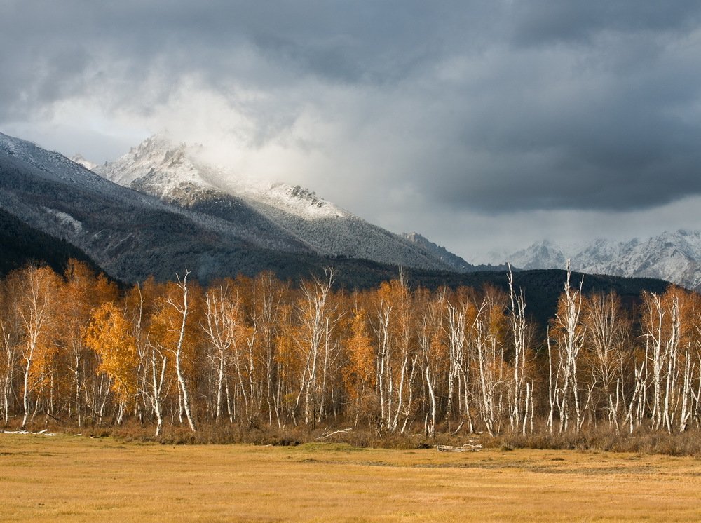 Photograph by Алексей Трофимов