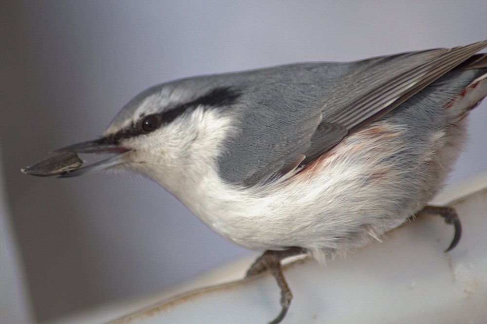 Photograph by Риф