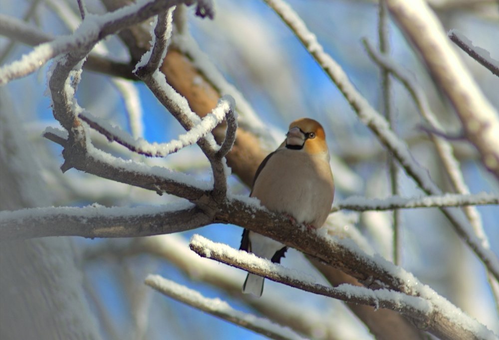 Photograph by Риф