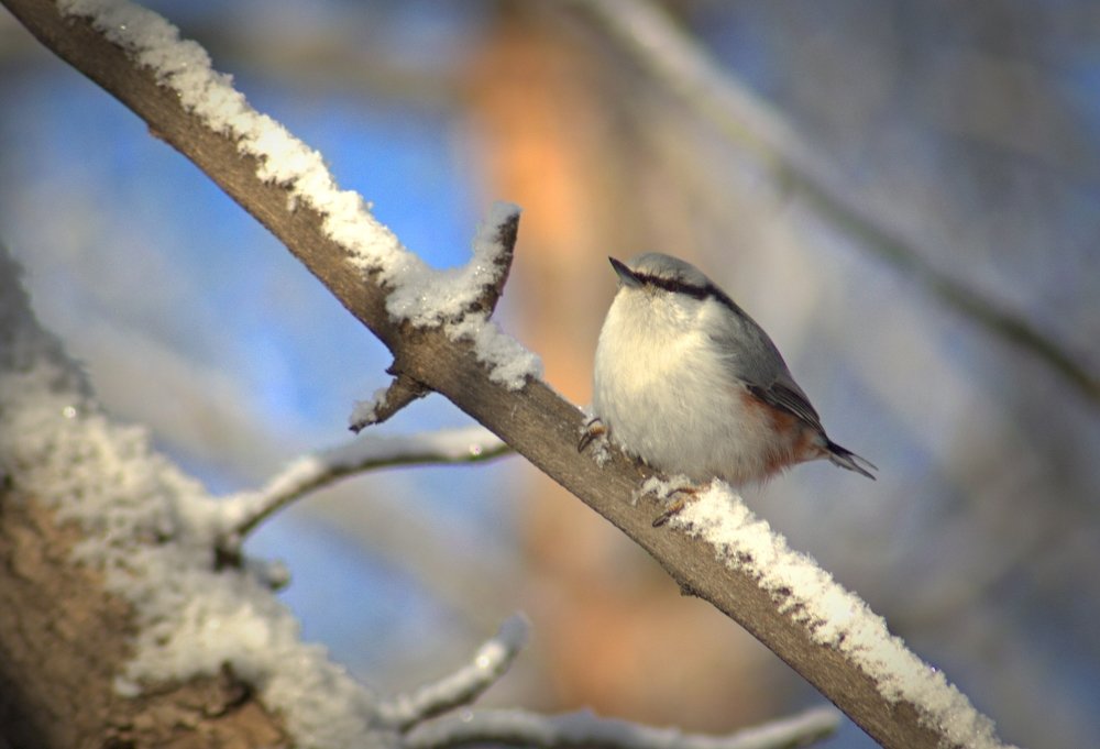 Photograph by Риф