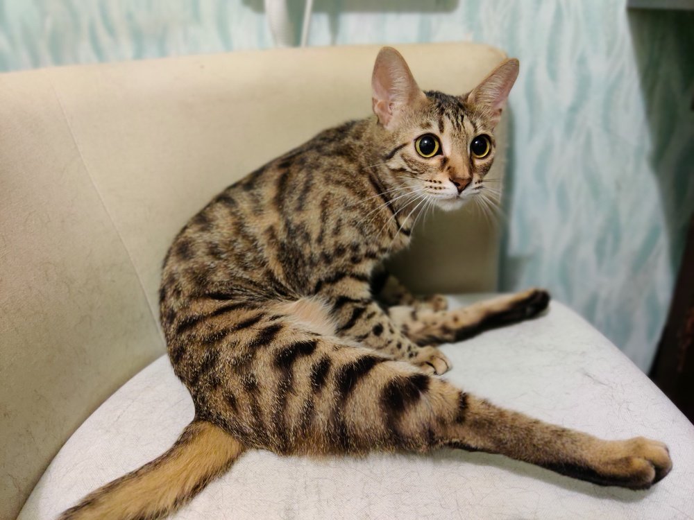 Photograph by Маруся