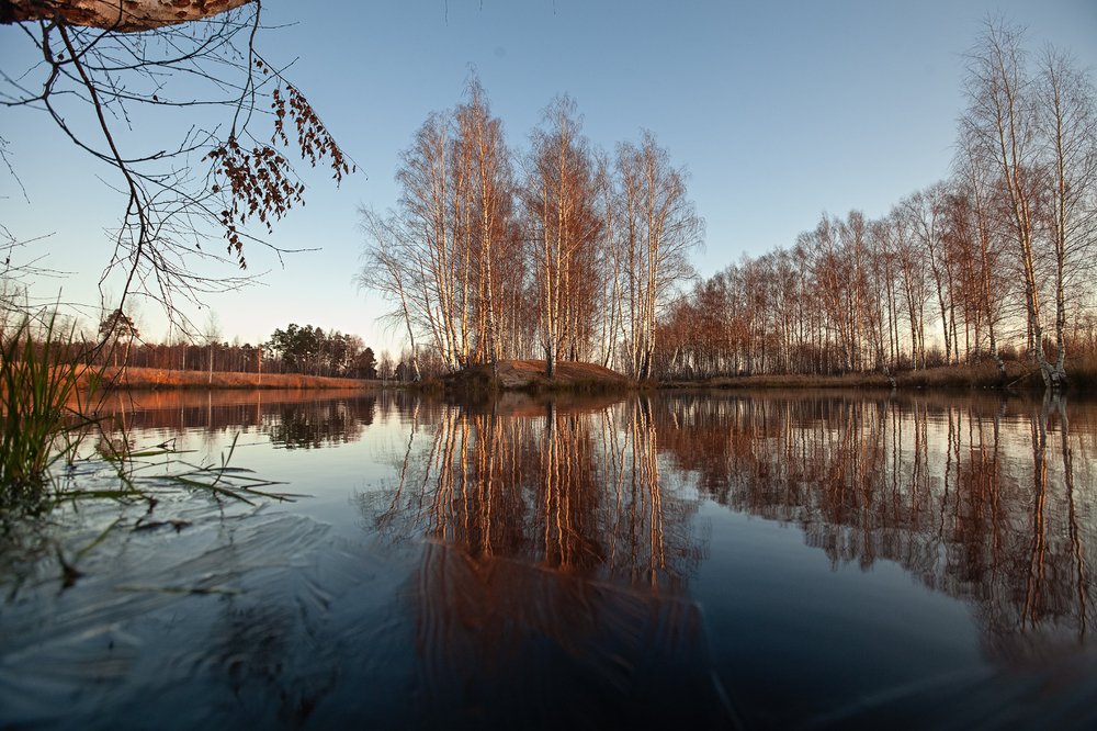 Photograph by Ольга Денисова