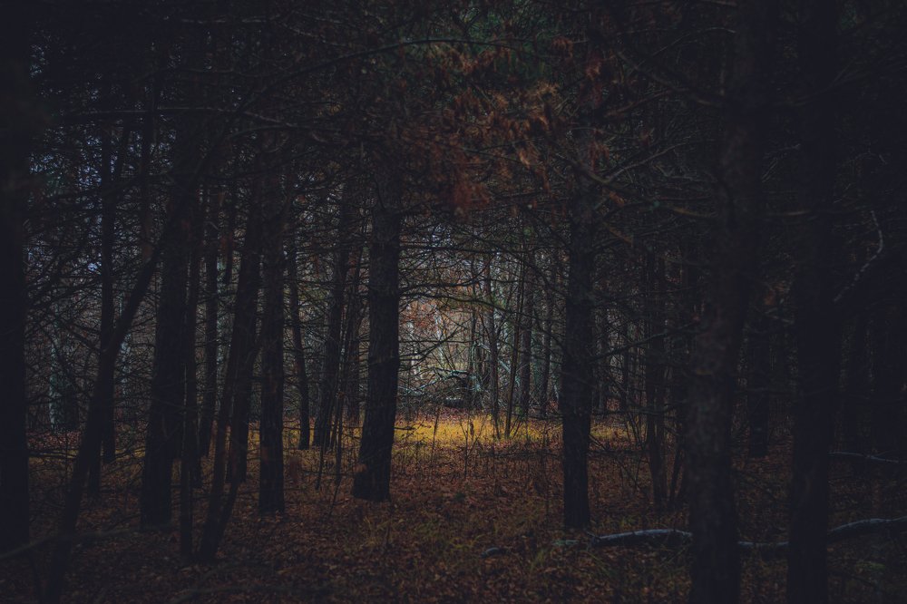 Photograph by Виктория Берденкова