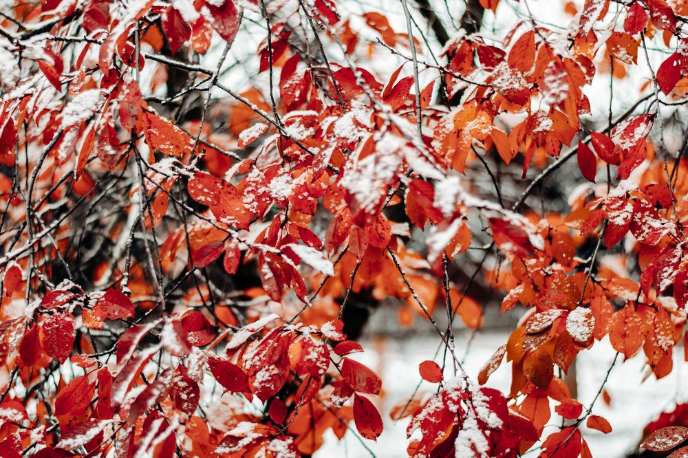 Photograph by Виктория Берденкова