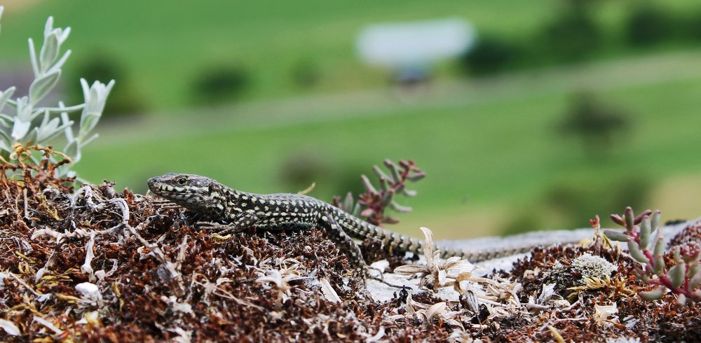 Photograph by Диана Ульянцева