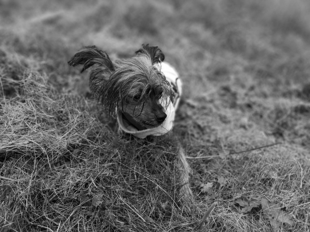 Photograph by Андрей Тарасюк